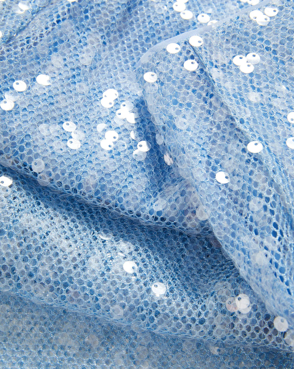 Blue Jay