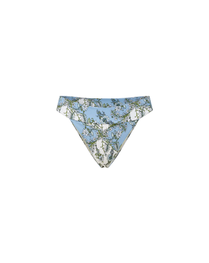 Blue Multi