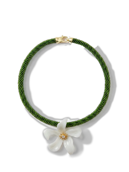 Green/White