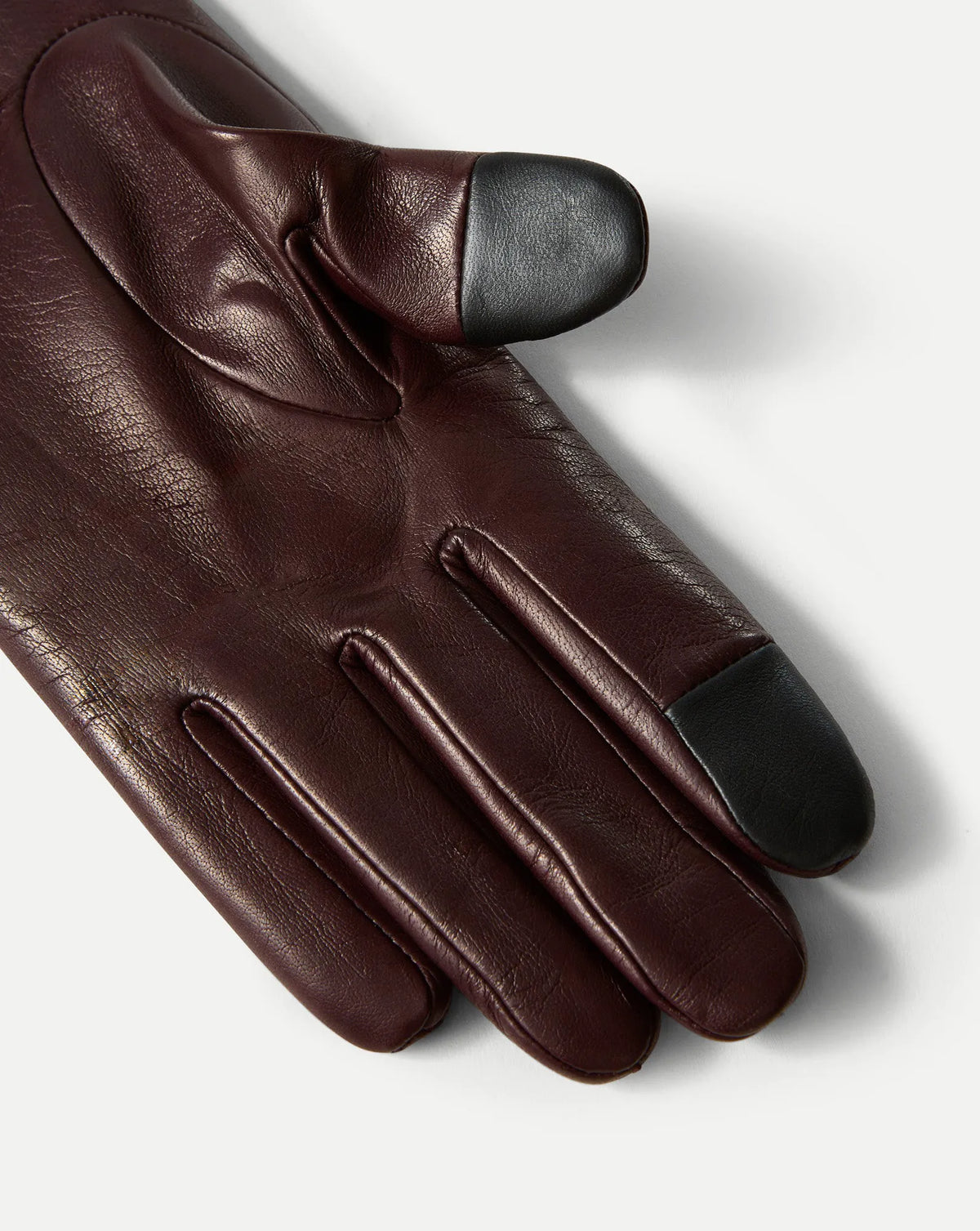 Dark Raisin