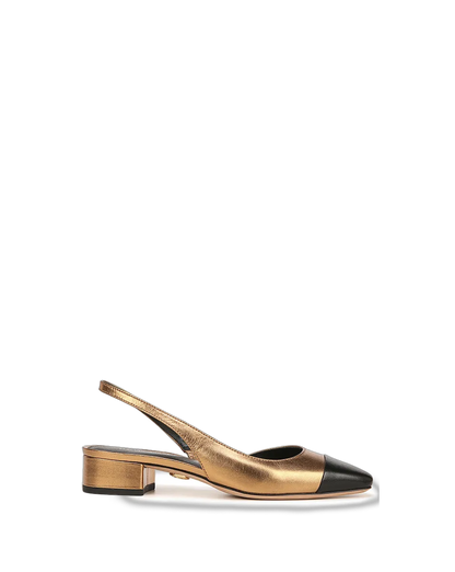 Gold/Black