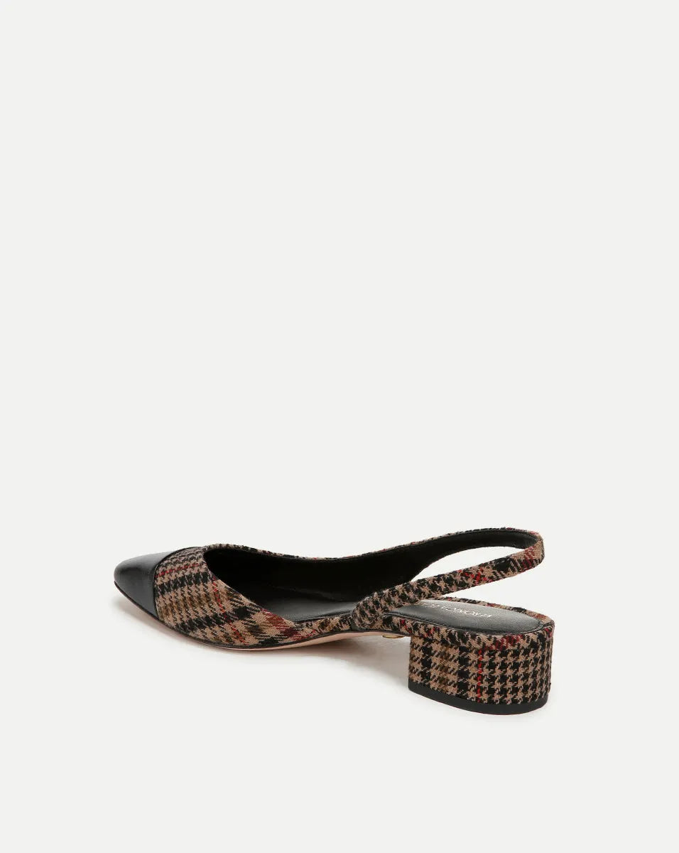 Camel Multi