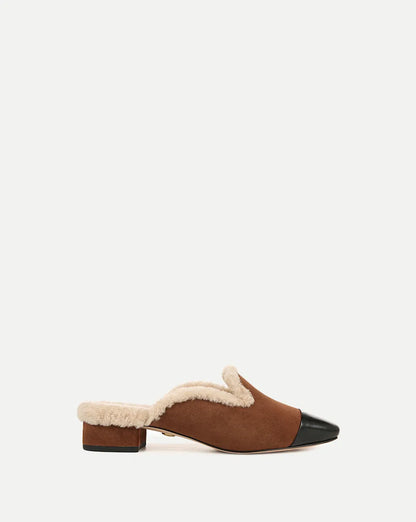 Cedar