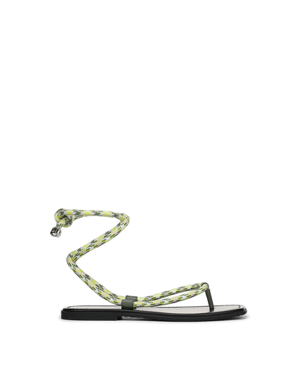 Lime Multi