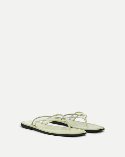 Clear/Light Pistachio