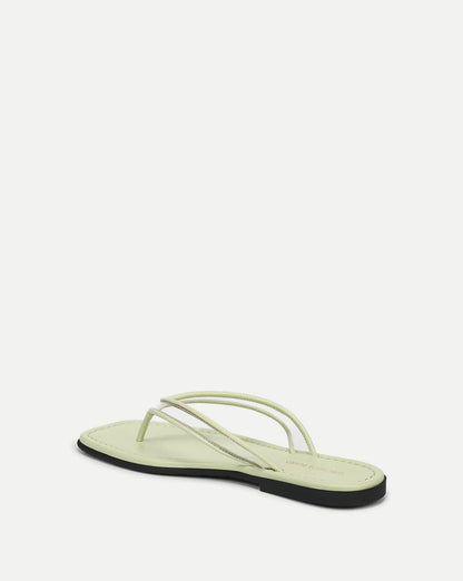 Clear/Light Pistachio
