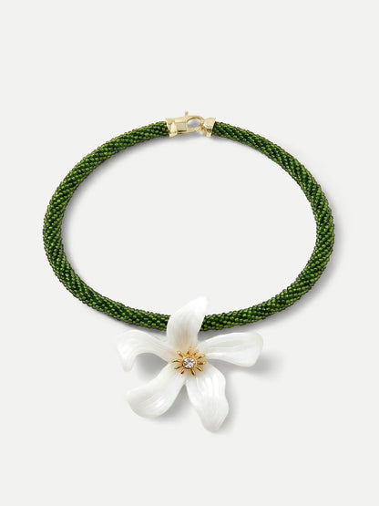 Green/White