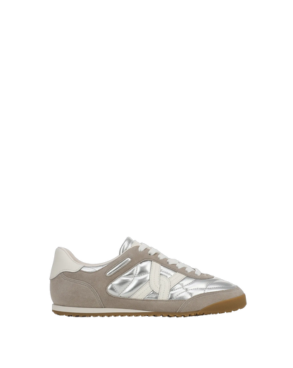 Silver/Grey